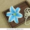 Comercio Exterior Transfronterizo Cabezas de Flor de Lirio 3D 19cm Venta al por Mayor Celebración de Boda Decoración Floral Paisajismo Película Flores de Lirio