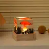 Ornamento de Planta de Espécime de Dente-de-leão Cubo Criativo Resina Cristal Luz Noturna Recarregável Decoração de Quarto Casa
