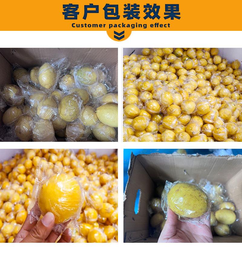 保鲜膜样品