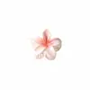 Presilha de Cabelo Flor de Frangipani Dopamina Mais Vendida em Vendas Transfronteiriças Nova Presilha de Garra Clip de Tubarão Flor de Feriado Exquisita Europeia e Americana