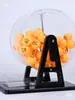 Máquina de Loteria Manual Bola de Duas Cores Sorteador de Números Máquina de Atividade de Entretenimento para Reunião Anual Máquina Sorteadora de Números de Tanque de Peixes Máquina Sorteadora de Números