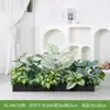 [Série Hc-An7] Caixa de Flores de Planta Verde Simulada Decoração de Sala de Estar Interna Janela de Chão a Teto Paisagismo Fotografia de Casamento Estrada