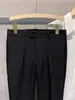 Pantalones Juveniles Estilo Japonés Elegantes, Pantalones de Vestir de Otoño Modernos para Hombre, Pantalones Casuales Rectos de Gama Alta para Negocios, Sin Arrugas para el Trabajo
