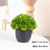 Plantas Verdes Simples Suculentas de Plástico em Vaso Ornamento para Sala de Estar Mesa de Jantar Flores Artificiais Decorações Ornamento Flores Biomórficas