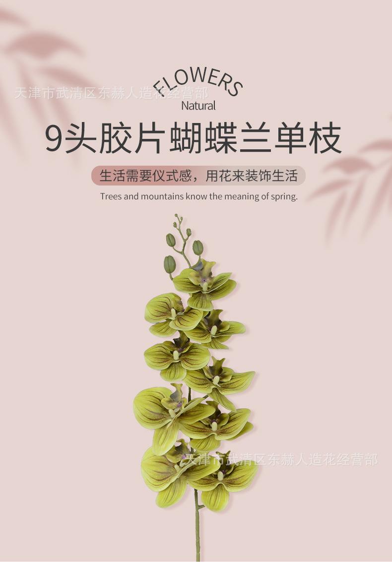 详情_01.jpg