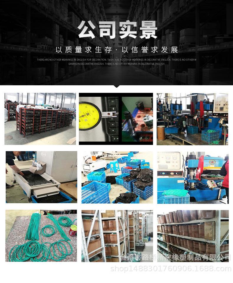 密封圈_13
