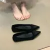 Zapatos de salón de punta fina para mujer con temperamento de brisa nocturna estilo francés, nuevos mocasines casuales slip-on retro coreanos de otoño 2026