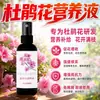 Solução Nutricional Específica para Azaleia Mancha Foliar Folhas Amarelas Manchas Pretas Queda de Folhas Podridão das Raízes Cuidados Adubo para Flores Adubo Foliar Adubo Especial
