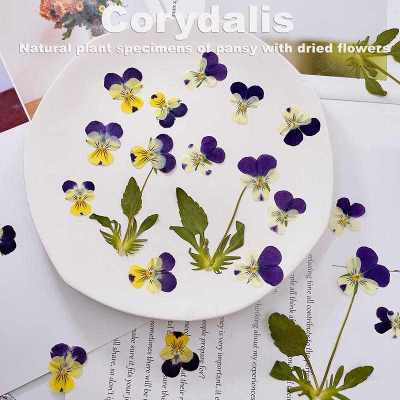 微信图片_20210805123502_副本