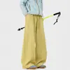 Pantalones Casuales de Senderismo de Verano de Moda para Hombre Estilo Hasselblad, Pantalones Deportivos Versátiles de Pierna Ancha, Pantalones Sueltos de Longitud Completa Estilo High Street