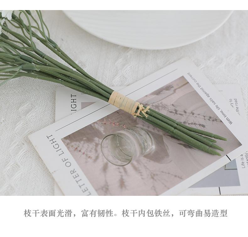 妙彤6枝手札小雏菊_12.jpg