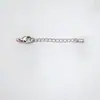 Cadena de Extensión de Acero Inoxidable para Broche de Collar, Pulida a un Acabado Blanco Brillante, Broche de Langosta que No se Desvanece, Cadena de Cola, Pulsera de Acero de Titanio, Broche de Perla