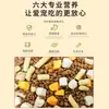 Alimento Seco Congelado para Gatos con Alta Nutrición para Pelo Brillo 5kg 0.5kg Gatos Adultos y Gatitos Gato Azul Pescado del Océano Bajo en Sal y Bajo en Grasa Comida para Gatos Precio Completo