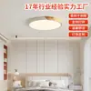 Lámpara Colgante Estilo Minimalista Hecha a Medida, Lámpara de Techo Nórdica Simple, Lámpara Artística Creativa y Única para Comedor en Colores Simples