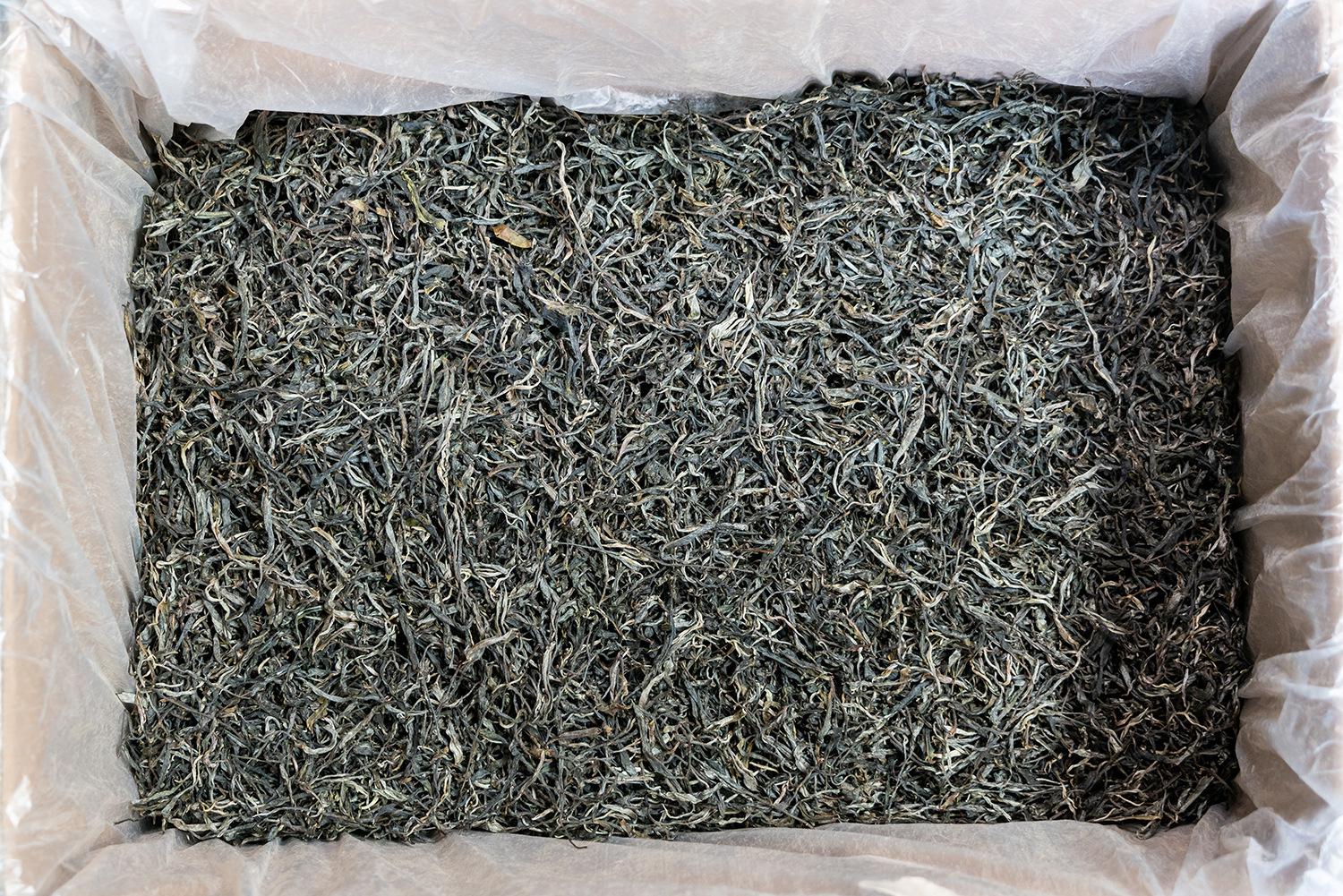2024大雪山散茶 (1).jpg