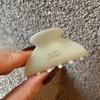 Pinza para el Cabello Pequeña de Acetato de Alta Gama Estilo Coreano, Horquilla Dulce y Elegante para Peinados Semirecogidos, Pinza de Tiburón para la Parte Posterior de la Cabeza