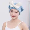 [Toalha de Secagem de Cabelo de Camada Dupla Extra Grossa] Novo Estilo Absorvente de Água, Touca de Banho de Secagem Rápida, Toalha de Secagem de Cabelo de Veludo Coral, Touca para Secar Cabelo