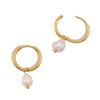 Pendientes de Perla de Agua Dulce Dorados Simples de Venta Caliente Transfronterizos Europeos y Americanos Pendientes Chapados en Acero Inoxidable 18K Joyería Exquisita