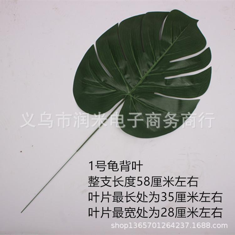 IMG_8503_副本1_副本1
