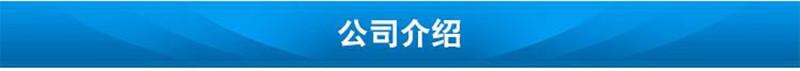 公司介绍