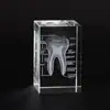 Modelo de Esqueleto Humano de Cristal Grabado con Láser 3D Modelo de Órganos Cerebro y Corazón Anatomía Adorno de Enseñanza Médica