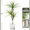 Planta Verde de Simulación Madera Milenaria Planta Falsa Lujo Ligero de Gama Alta Decoración de Interiores Árbol Sala de Estar Grande en Maceta Adornos de Piso