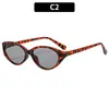 Novos Óculos de Sol Personalizados Cat-Eye, Modernos e Versáteis, Estilo Europeu e Americano, Proteção Solar, Viagem, Férias ao Ar Livre, Ciclismo, Óculos de Sol Transfronteiriços