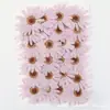 Flores Secas Margaret Flores Decoración Facial en Relieve Cara en Relieve Hojas Reales Especímenes de Plantas Hojas Reales Flores Reales Materiales para Manualidades