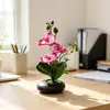 Juego de tres piezas de orquídeas mariposa artificiales en maceta, macetas planas en miniatura, flores artificiales, plantas en maceta de escritorio, decoración para el hogar y la oficina, adornos de jardinería