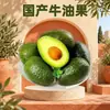 Atacado de Abacate Nacional Dropshipping 2/4/6/8/10/12/15 unidades Frutas Médio-Grandes Hass Abacate Fruta Fresca