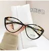 Libro Rojo Internet Celebrando Estilo Popular Gafas Planas Ojo de Gato Montura Estilo Académico Gafas Anti-luz Azul Bisagra Metálica Montura de Gafas para Mujer