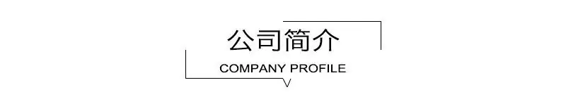 公司简介