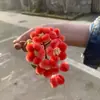 Materiais para Flores de Veludo DIY, Ferramentas para Iniciantes, Tábua de Rolagem de Filamento de Madeira Sólida, Escova de Cerdas de Javali, Grampos, Tesoura para Engrossar e Pontuar, Recozimento (Padrão)