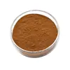 Extracto de Bayas de Goji, 30% Polisacárido de Goji, Extracto Vegetal de Flavonoide de Goji, Al por Mayor en Stock