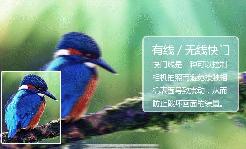 292中午详情页--180529_02