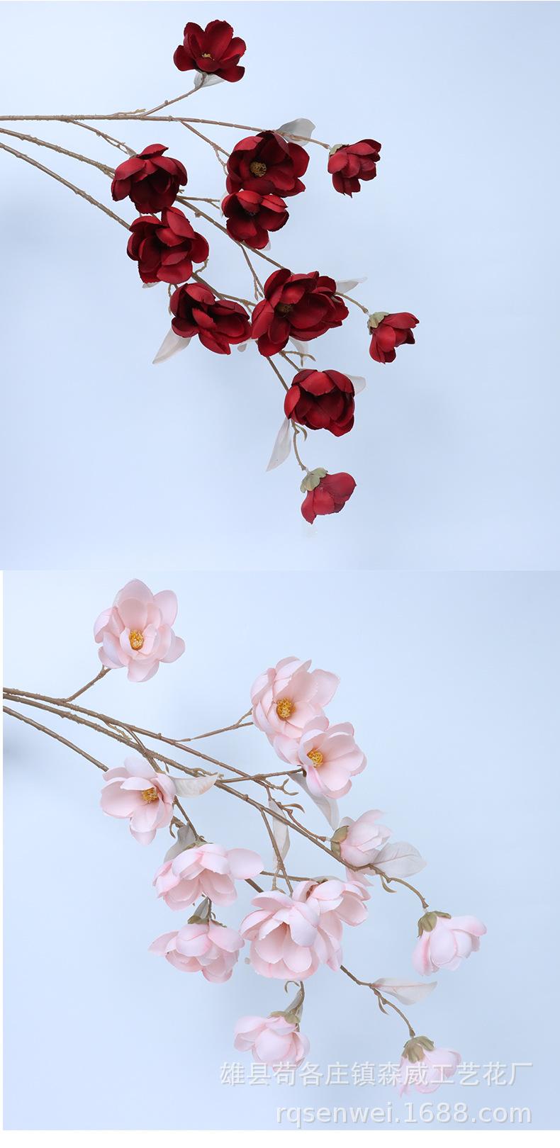 玉兰花_12.jpg