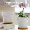 Macetas de Cerámica con Platos para Uso Doméstico al por Mayor, Macetas para Suculentas de Estilo Ins Simple Lujo Ligero Estilo Crema, Disponible para Dropshipping