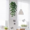 Fun-B142 Exportación Hojas de Pothos Dormitorio Sala de Estar Hogar Fondo de Pared Embellecimiento Adhesivo de Pared Venta al por Mayor Autoadhesivo