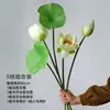 Flor de Loto Artificial Tacto Humano Flor de Nenúfar Arreglo Floral Estanque Flores Artificiales Sala de Estar Ofrenda a Buda Accesorios Decoración de Jarrón Adorno Vaina de Semilla de Loto