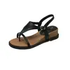 Sandalias Chanclas de Cuña con Plataforma para Mujer, Estilo Nuevo de Primavera, Adecuadas para Combinar con Faldas, Cómodas para los Pies, Sandalias Romanas de Playa