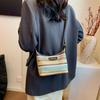 Bolso de axila distintivo y moderno 2024 Hermoso y de estilo western Bolso de mano distintivo Bolso tipo almohada simple y moderno para mujer para ir al trabajo