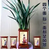 Moran planta em vaso empresa preto Phnom Penh Montanha Jinhua Flor de orquídea de Ano Novo sala de estar varanda folha larga orquídea perfumada perene o ano todo