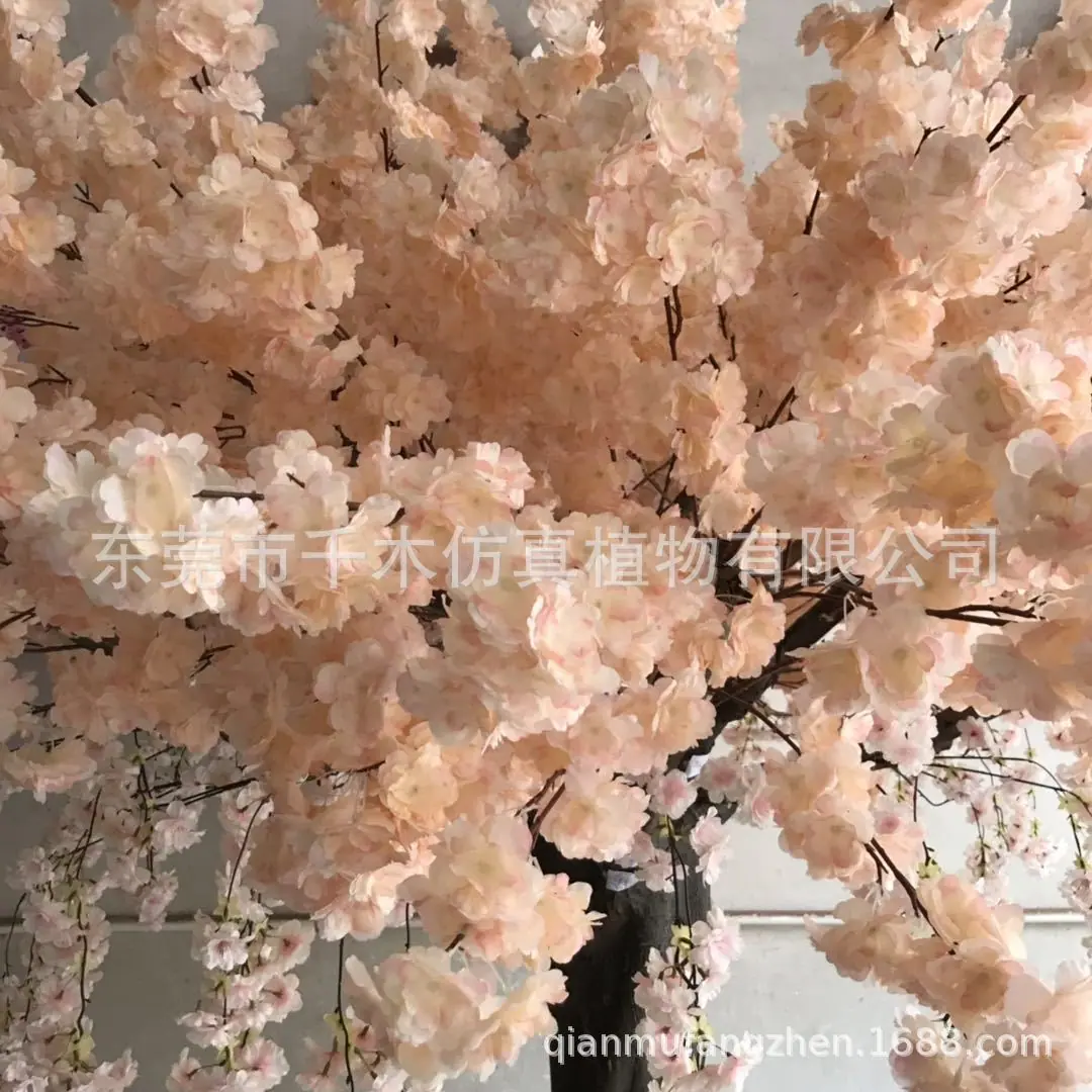 微信图片_201903192006084