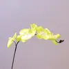 Orquídeas Phalaenopsis Artificiais para Sala de Estar, Mesa de Jantar, Decoração de Hall de Entrada, Arranjo para Quarto de Casamento, Orquídeas Phalaenopsis Quentes Mais Vendidas no Atacado