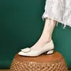 Mocasines de mujer de tacón bajo con hebilla cuadrada, nuevo modelo otoño 2026, piel suave, suela blanda, versátiles, cómodos, zapatos de punta para madres