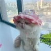 Conjunto de Chapéu Floral de Primavera e Babador para Animais de Estimação - Gatos, Cachorros, Sapos e Abelhas - Adereços de Cabeça, Toucas, Babadores de Saliva e Babadores
