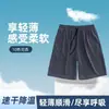 Nuevos Pantalones Cortos Deportivos Refrescantes 2024 para Hombre, Verano, Delgados, para Correr, Fitness, Holgados, Casuales, de Cinco Puntos, Seda de Hielo