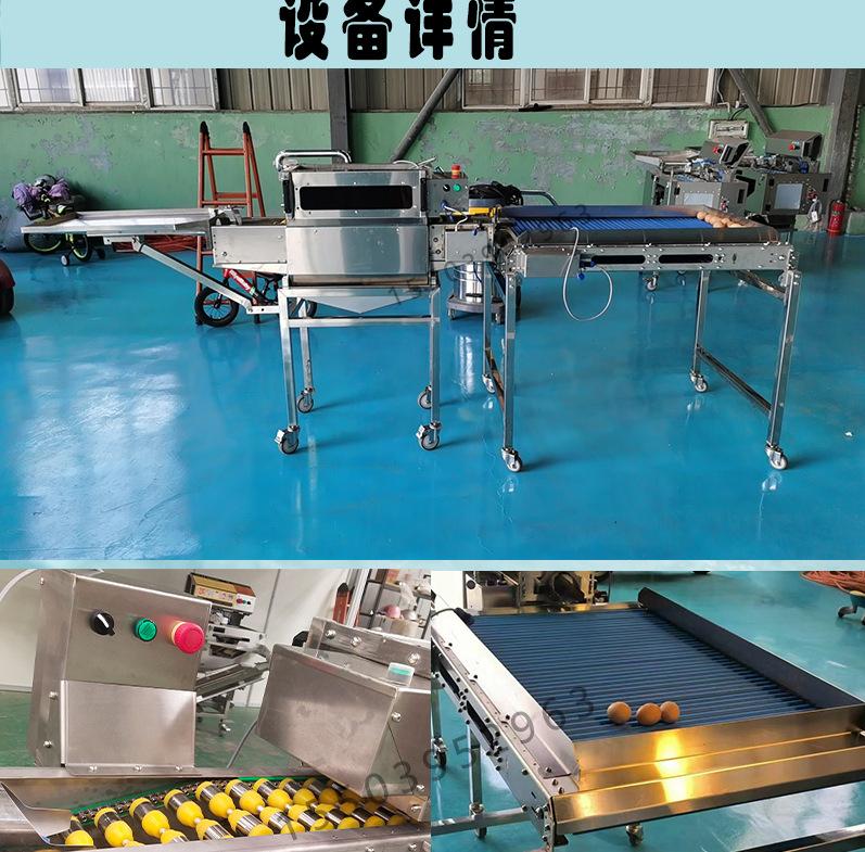 小型洗蛋机详情_03
