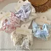Conjunto de 2 Peças de Elásticos de Cabelo de Tecido com Laço de Renda Xadrez Estilo Coreano, Elásticos Frescos e Versáteis para Coques de Meninas