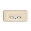 Modificación de coche RV panel usb usb a cargador de coche 3.1A en stock venta caliente transfronteriza